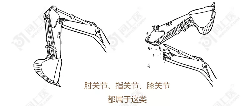 反之就只能出现悲剧只能朝一侧打弯又叫屈戌(xu)关节膝关节是我们体内