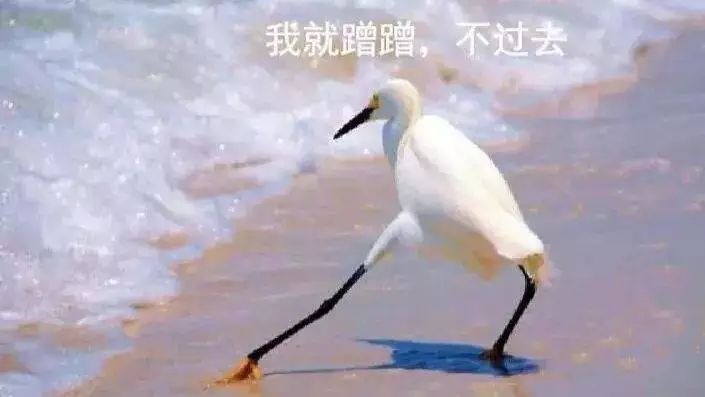 即便是善良也不能越過底線