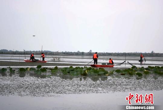 庐江黄陂湖工程进度图片