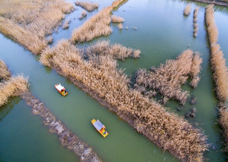 高邮湖旅游景点大全图片