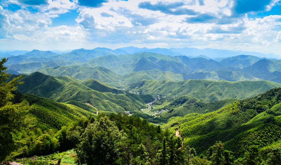 1h上海湖州指日可待!一路駛進莫干山竹海仙蹤,醉倒在江南美食香氣裡!