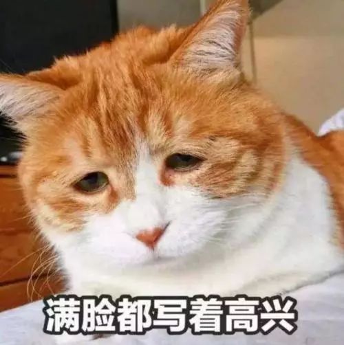 这年头,谁还不是只抑郁过的小猫咪?