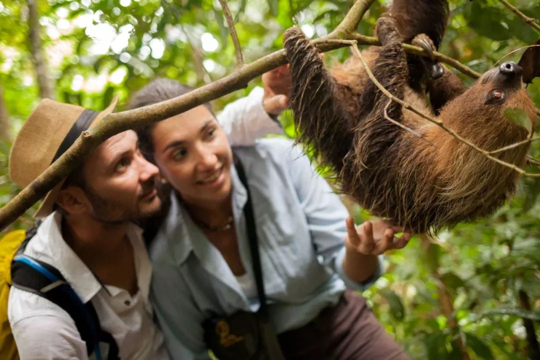 在亞馬遜來一次水上safari旅行,再遠的航程也抵擋不了對它的嚮往!