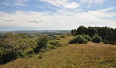 長春淨月開發區大頂子山閒暇時,來到蓮秀峰森林公園內行走在木棧道上