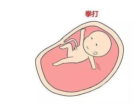 孕期你是啥时感觉到胎动的呢?其实,胎儿在肚子里会干这些事