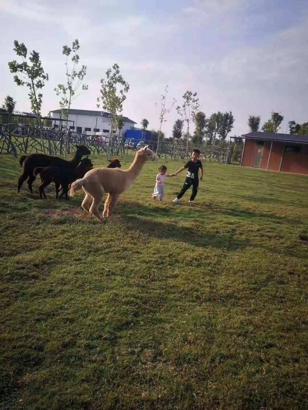 陶一歌 指導教師:姚頔 週末,我們一家和妹妹一家去宿州野生動物園玩