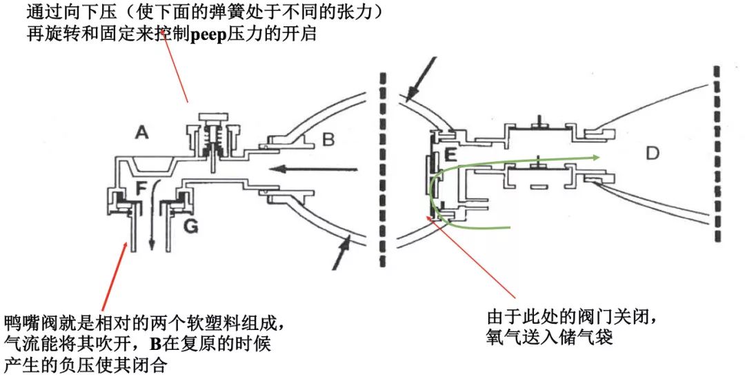 简易呼吸气囊到底如何使用?超详细!