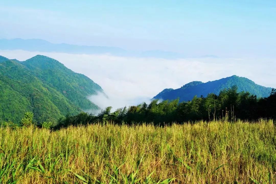 九連山.黃牛石