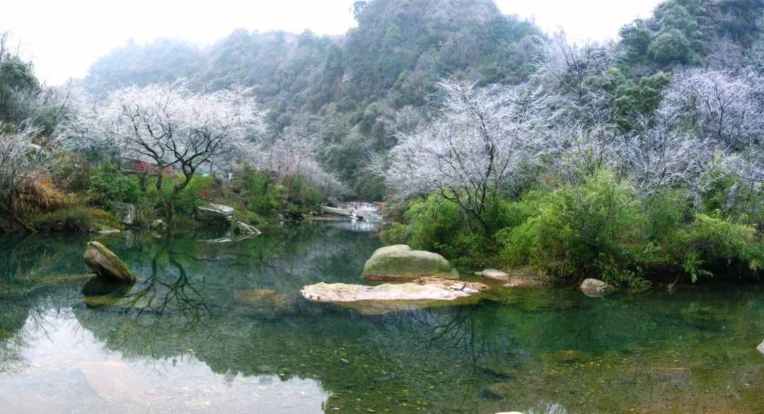 景區由斗篷山景區,螺絲殼景區,劍江景區,都柳江景區和鳳囀河景區五個