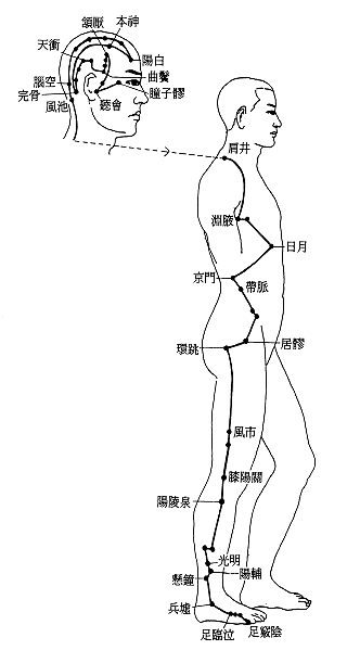 胆经的走向准确位置图图片