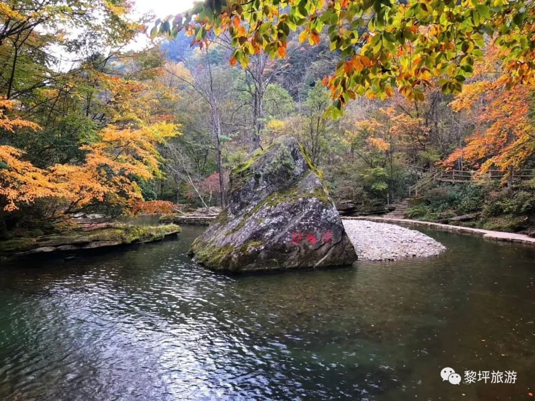 黎坪紅葉漫山,賞