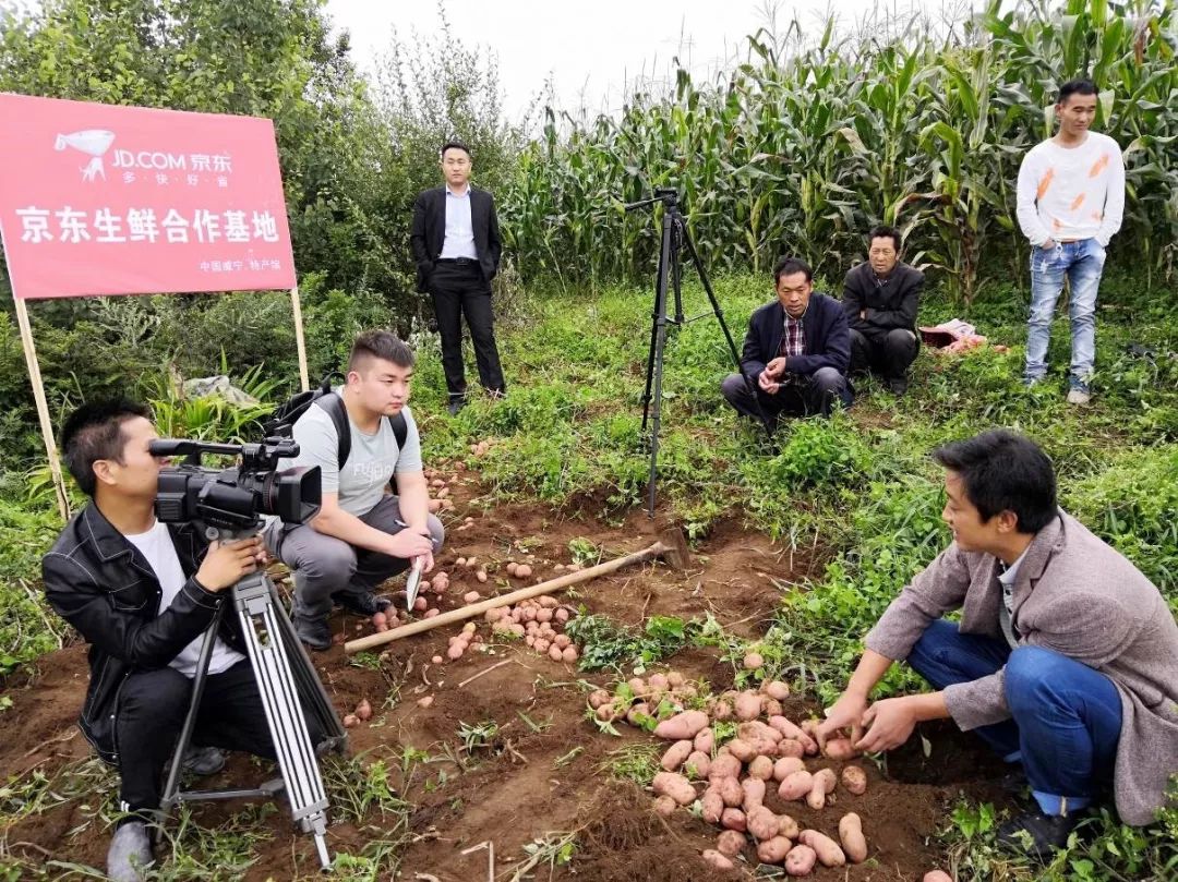 电商扶贫直播图片