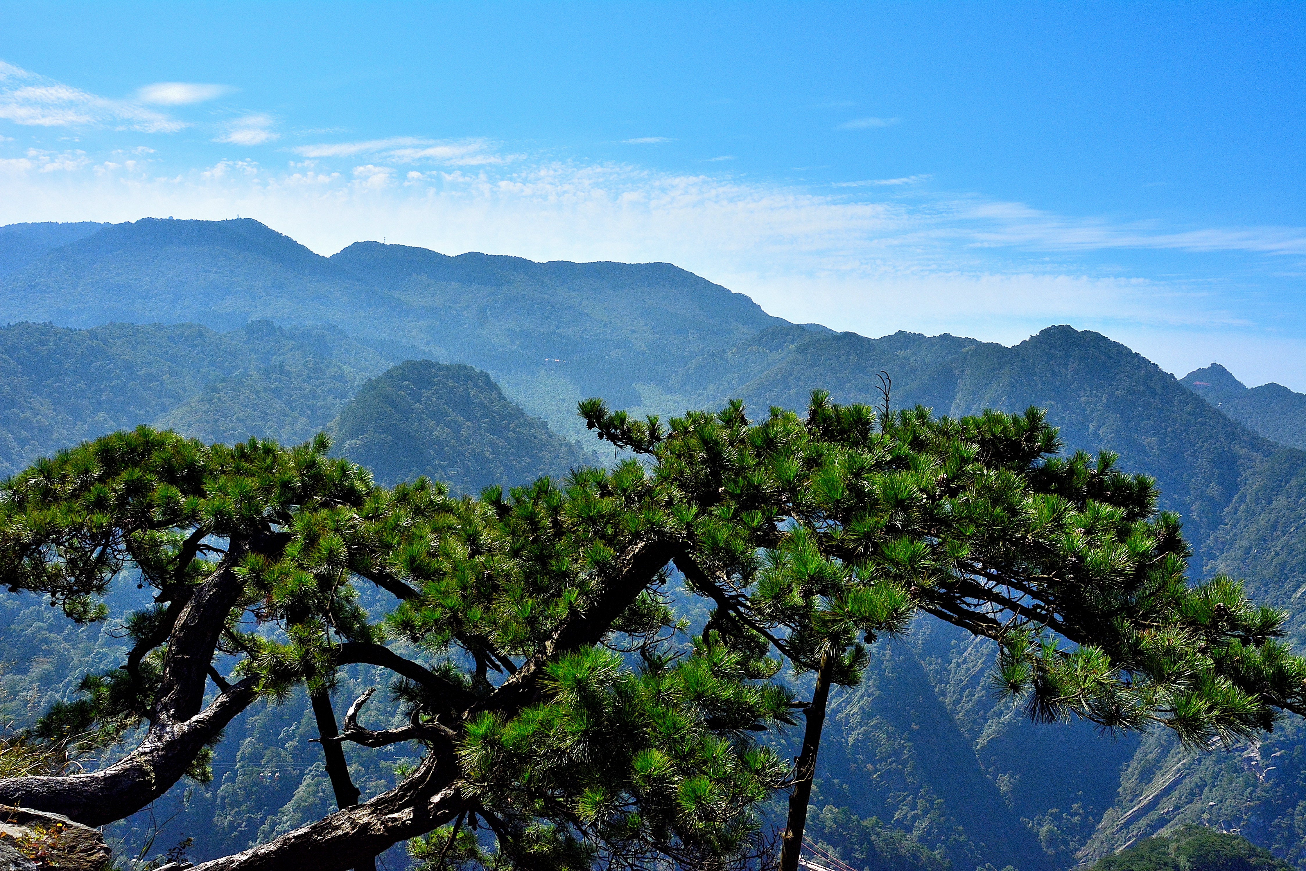 又是重阳节,遥知兄弟登高处, 遍插茱萸少一人——庐山