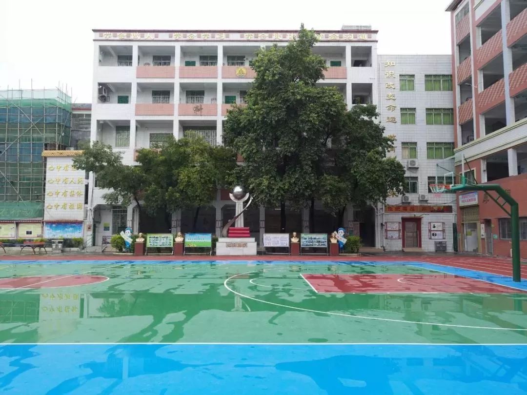 河源市公园东小学招生图片