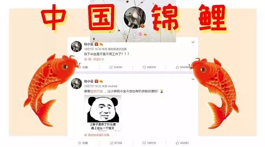 "魔都锦鲤"召唤术就是这么简单!豪华福利拿到手软软软