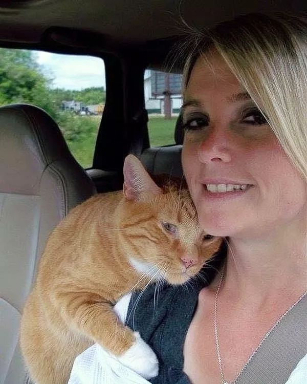 美国一流浪橘猫被女大学生收养后，报恩13年