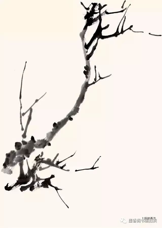 梅花老枝干的画法图片
