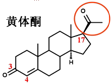 药物化学丨性激素和避孕药_结构