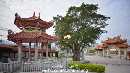 漳州熱門寺廟群合集朝拜之旅有它就夠啦