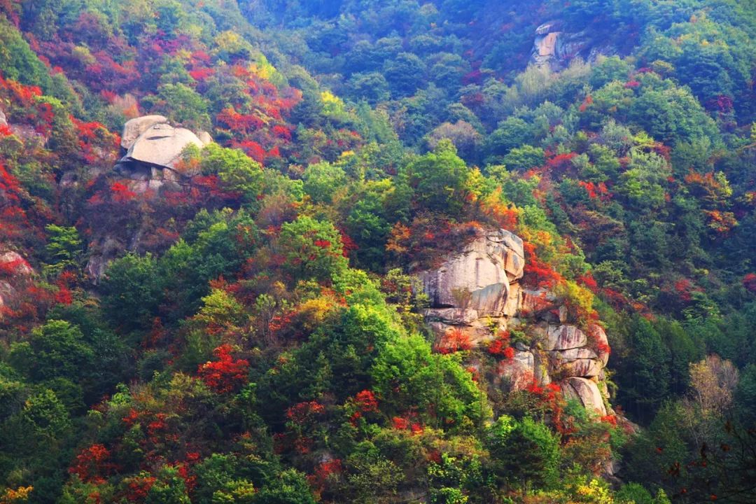 老君山景区,白马潭景区,养子沟景区 栾川乡双堂石垄沟水库 潭头镇纸房