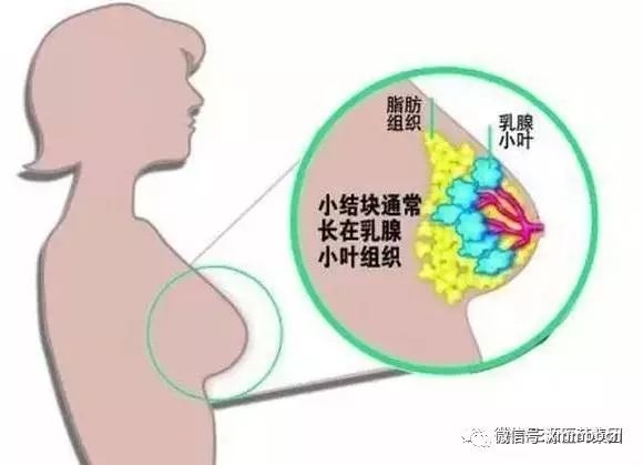 修復乳腺增生的最好時期在哺乳期