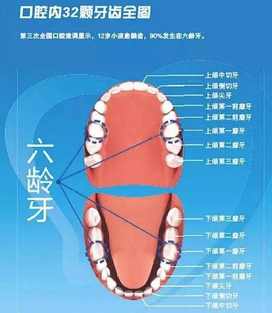 6歲小孩要補3顆牙,真是因為愛吃糖嗎?這些年我們做錯的事_療牙齒