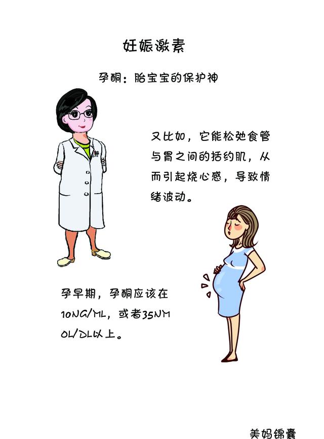 妊娠期孕妇体内会分泌哪些激素?