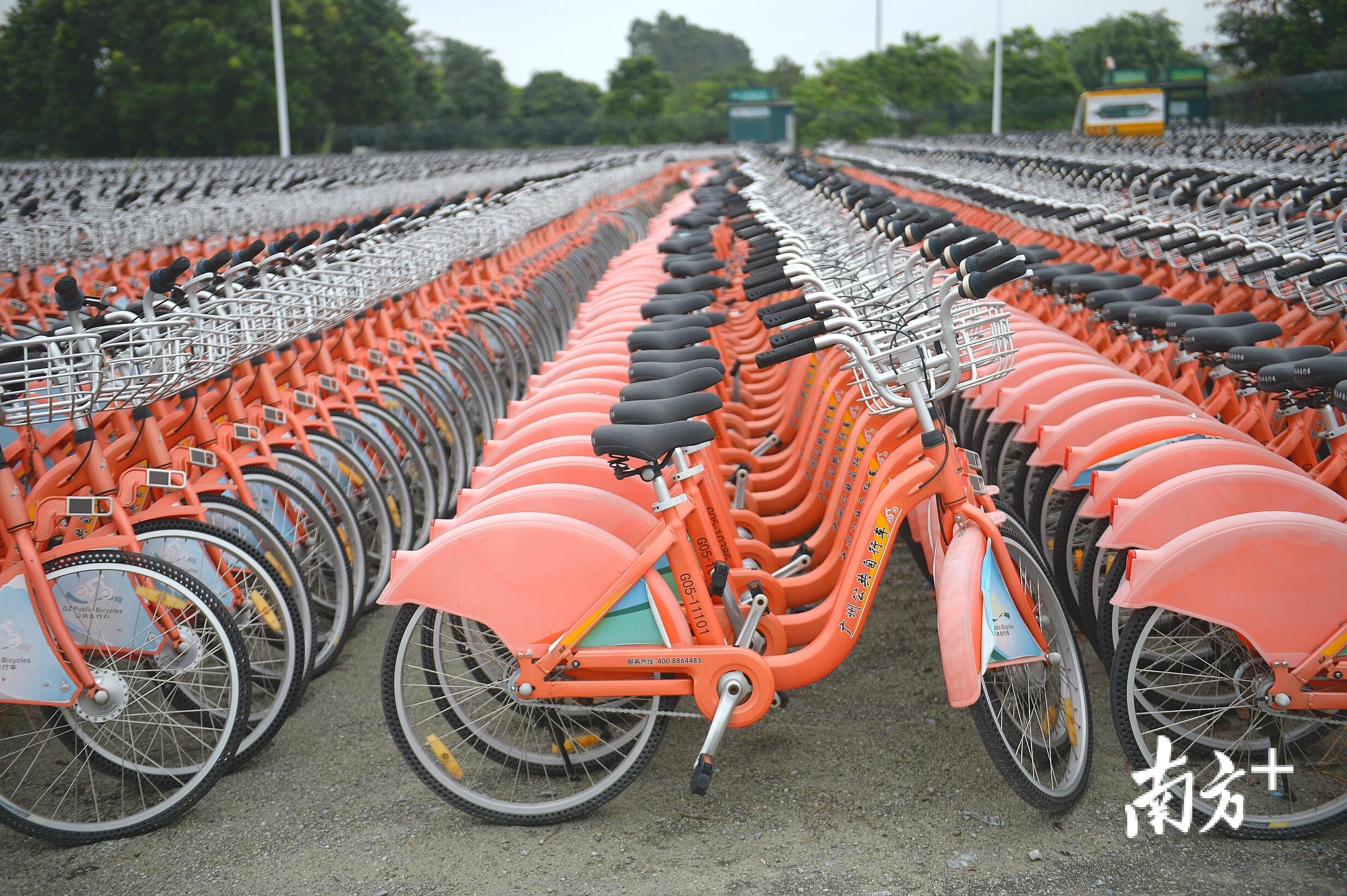 广州公共自行车退出历史舞台,2万辆公共自行车在大学城停放