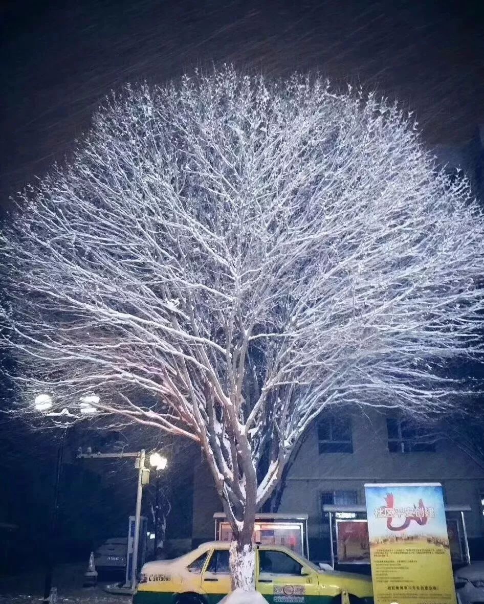 乌鲁木齐冬天夜景图片