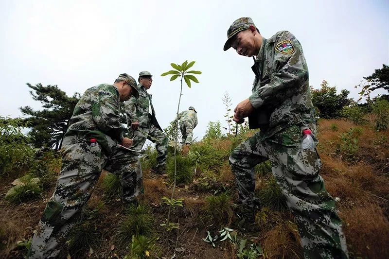 林业护林员发警服图片