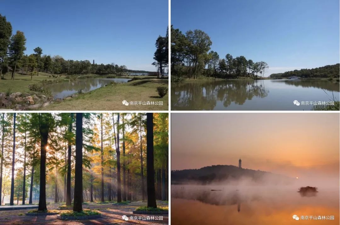 南京平山森林公園位於南京市六合區北部丘崚地帶,這裡七山八湖,山與湖