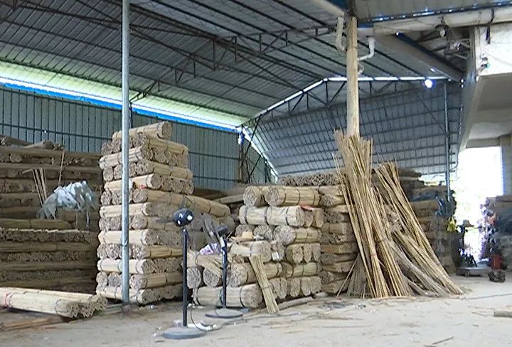 中山西区驻大龙村扶贫工作队队长 胡保宁:竹厂这个扶贫项目是按照上级