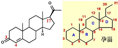 药物化学丨性激素和避孕药_结构