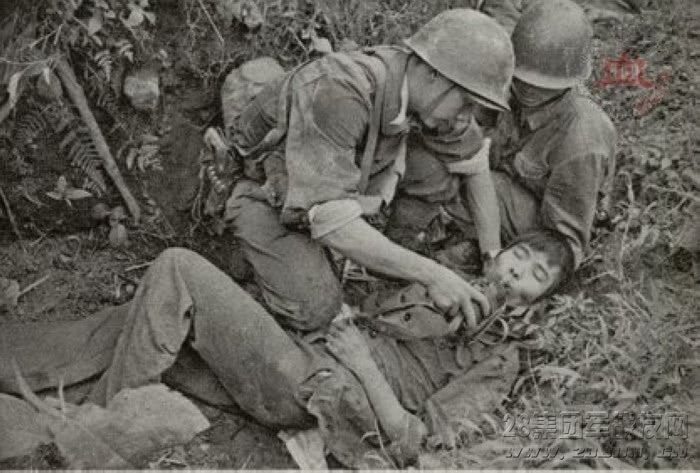 中越战争死亡图片图片