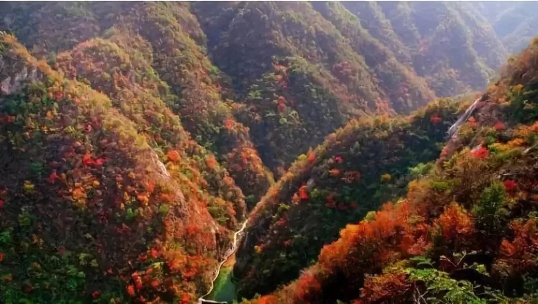 洛阳高铁的车票真的可当景区门票使用快来看看