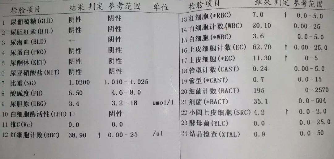 个人体检报告单样本图片