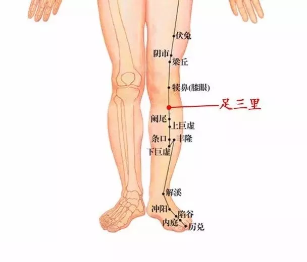 这几种常见病艾灸腿部就能缓解