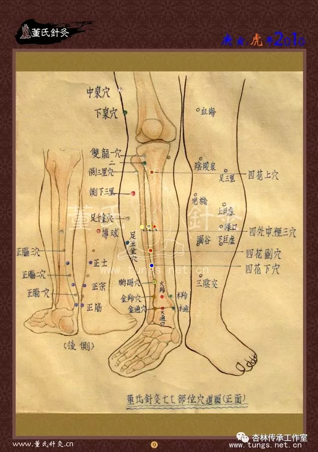 肾关的准确位置与功效图片