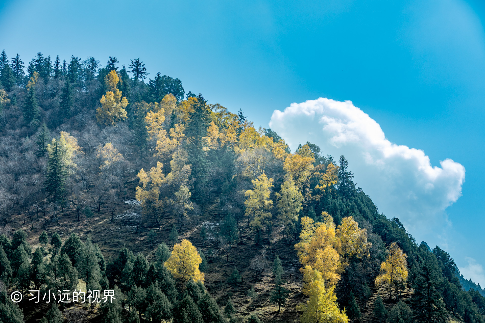 tips:马牙雪山距离武威天祝县35公里,自驾交通方便,附近镇子又炭山岭