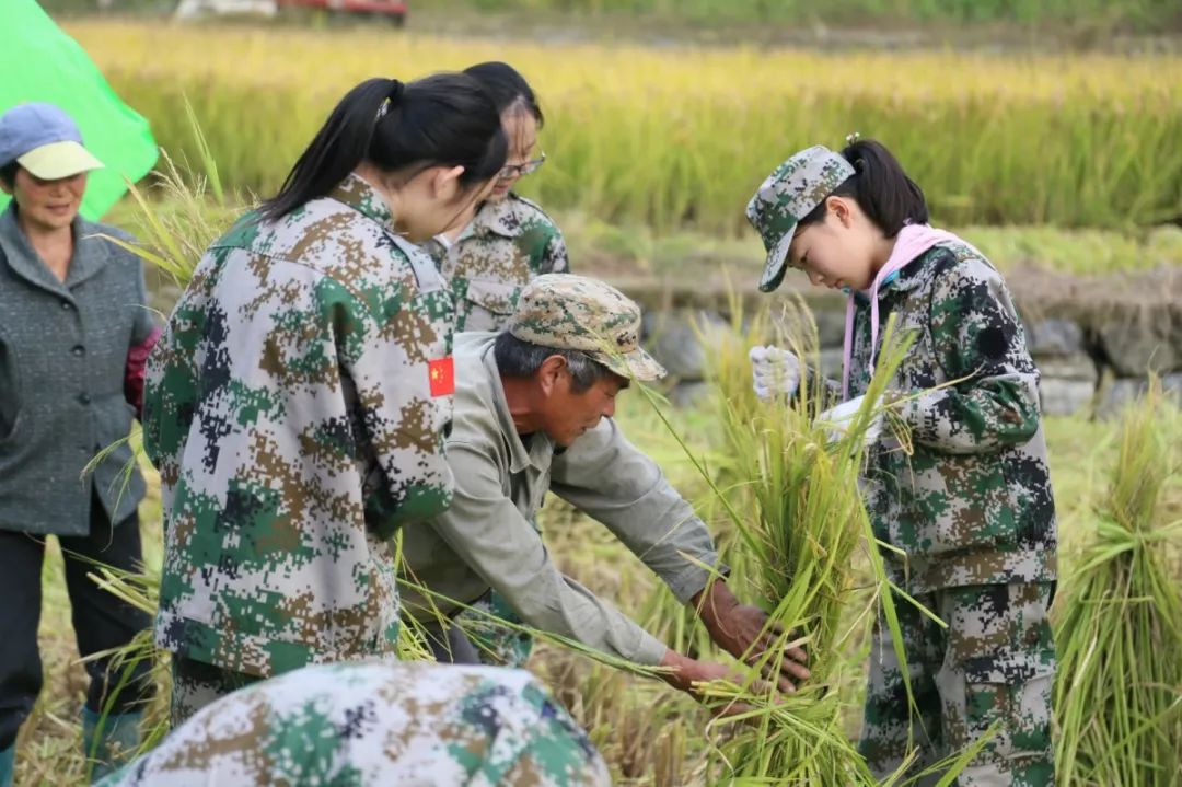 四会学农基地图片