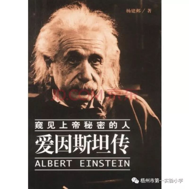 介绍了64位20世纪的中外大科学家的成才之路和他们照耀人类的智慧之光