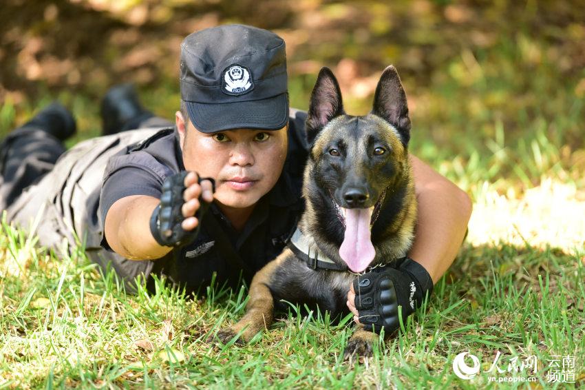 云南建水警察与警犬的别样战友情