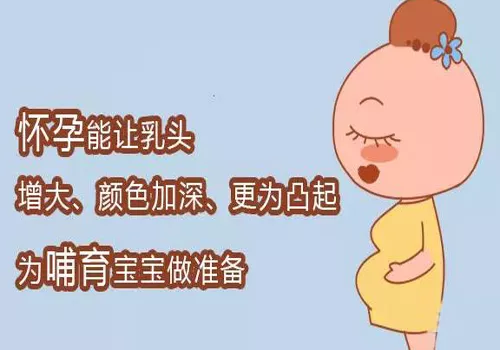 怀孕乳头对比初期图片