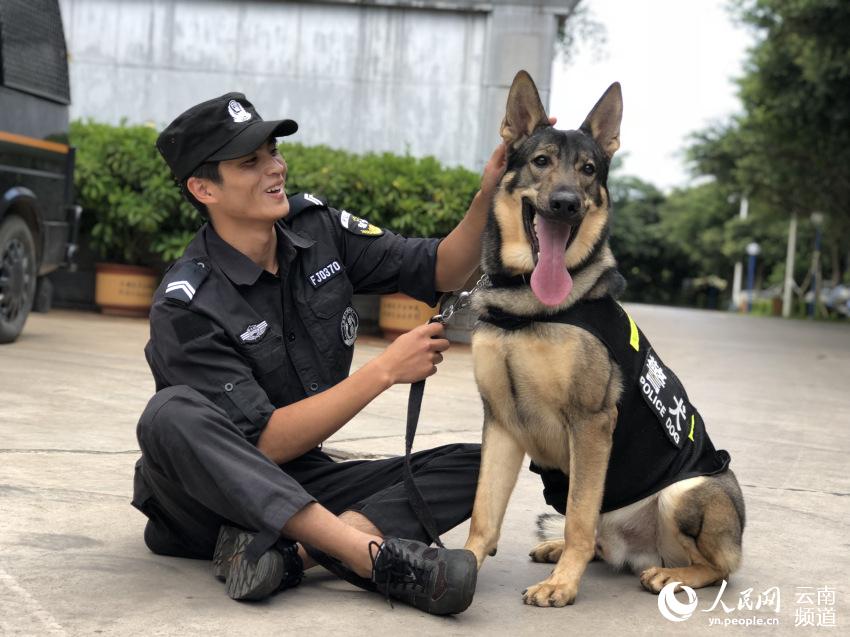 云南建水警察与警犬的别样战友情