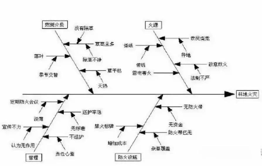 军神鱼骨图图片