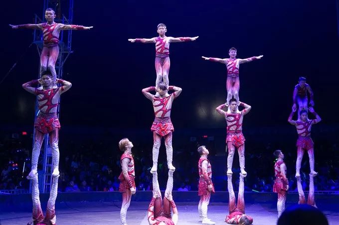 中国济南杂技团《蹬人》表演,芝加哥巡演广受欢迎【芝加哥侨学网报道