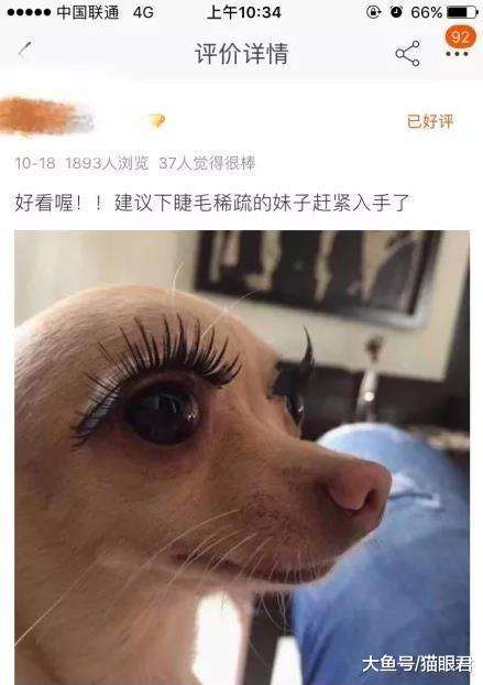 呆呆岛死人了图片