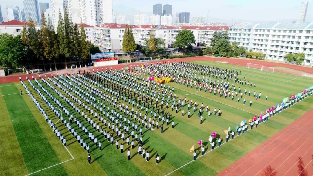 杨思中学初中部图片