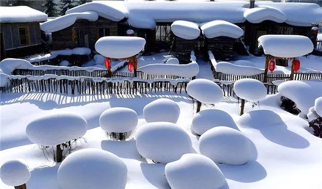 大東北雪山雪鄉雪景直航六天自組特價團