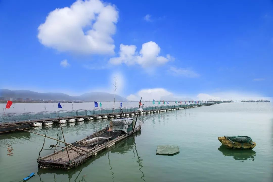 山上晨钟暮鼓,海边涛声万里漫步在莼湖南岙村,体验长寿村的优雅生活